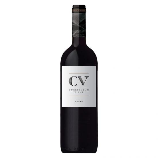 CV Curriculum Vitae 2018 Red